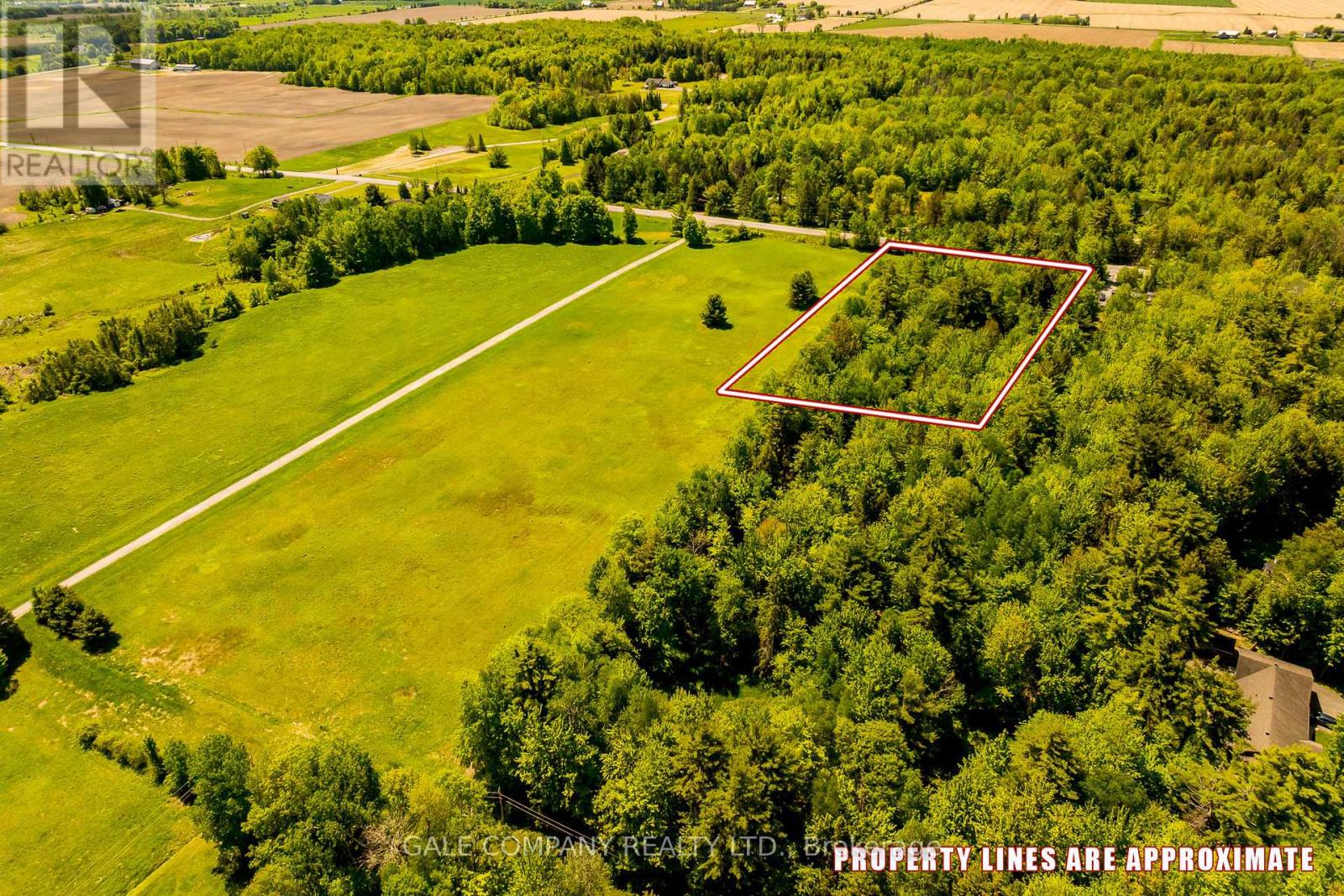 4475 Dunrobin Road, Ottawa, Ontario  K0A 3M0 - Photo 8 - X11995231