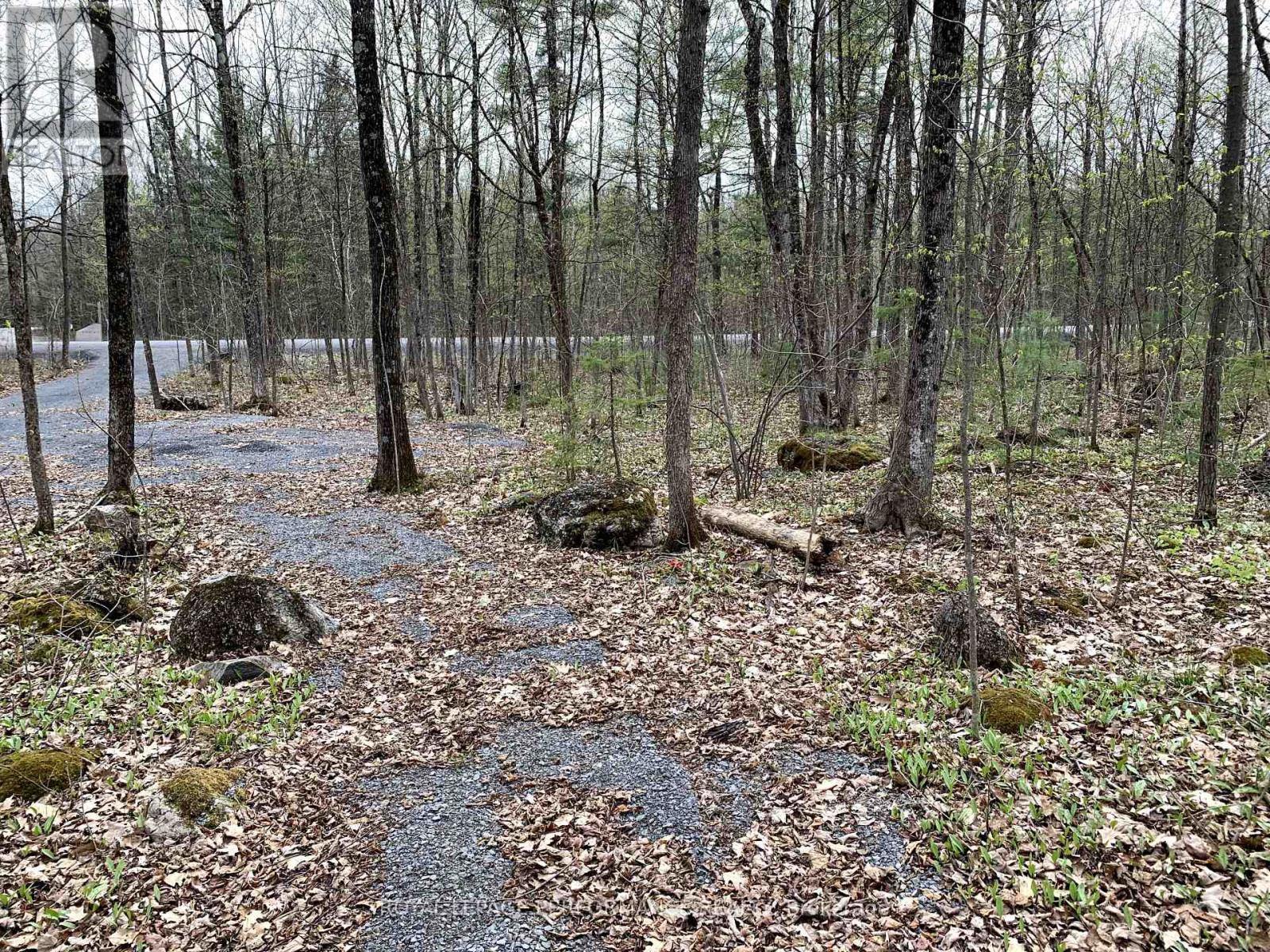 00 O'toole Road, Ottawa, Ontario  K4C 1M4 - Photo 6 - X12126021