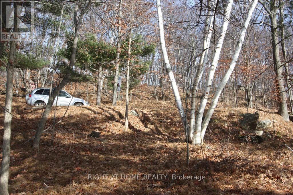 00 Hopper Lane, Rideau Lakes, Ontario  K0G 1V0 - Photo 2 - X12142067
