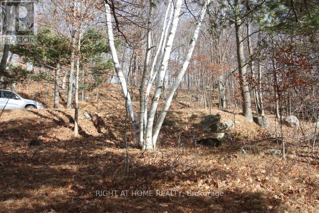 00 Hopper Lane, Rideau Lakes, Ontario  K0G 1V0 - Photo 6 - X12142067