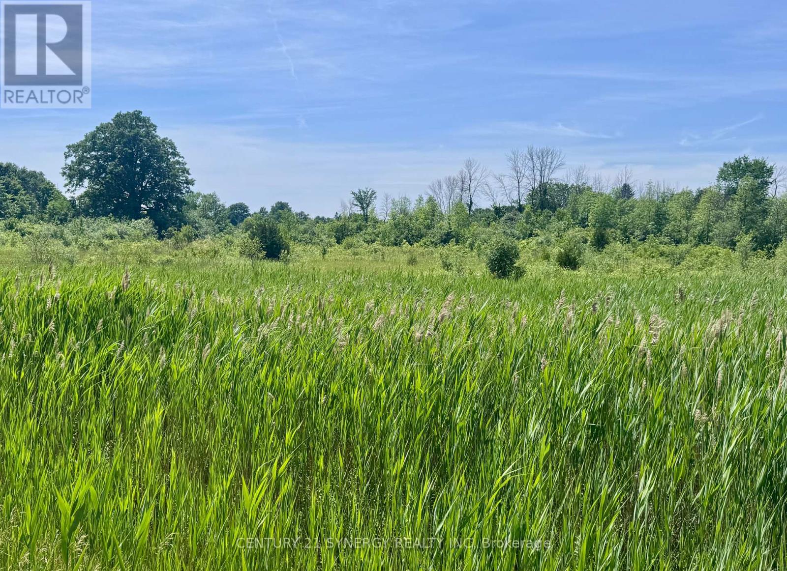 00 County Road 8 Road E, Elizabethtown-Kitley, Ontario  K0E 1Y0 - Photo 4 - X12254345