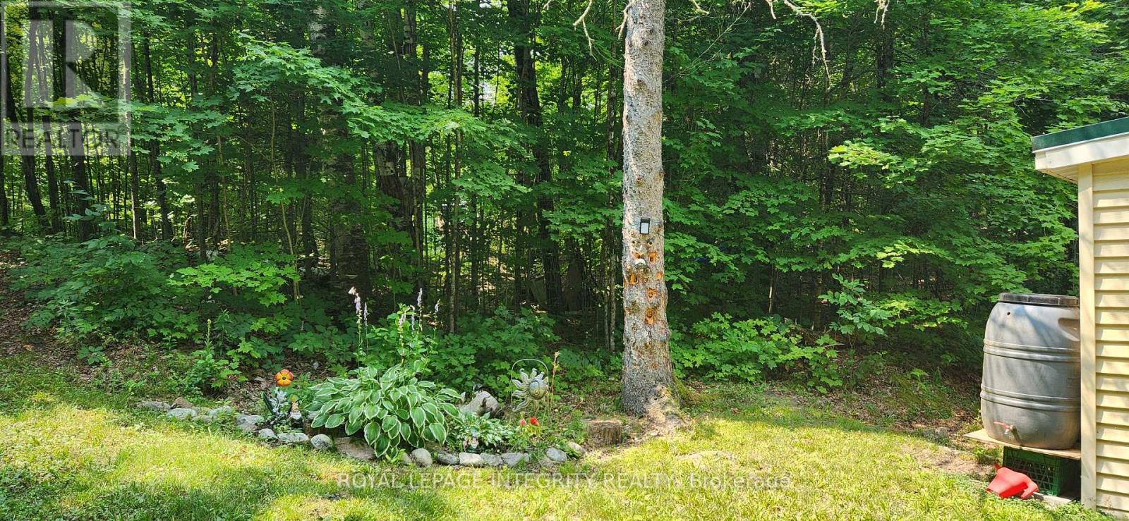 356 Bow Lake Lane, Lanark Highlands, Ontario  K0G 1K0 - Photo 13 - X12333386