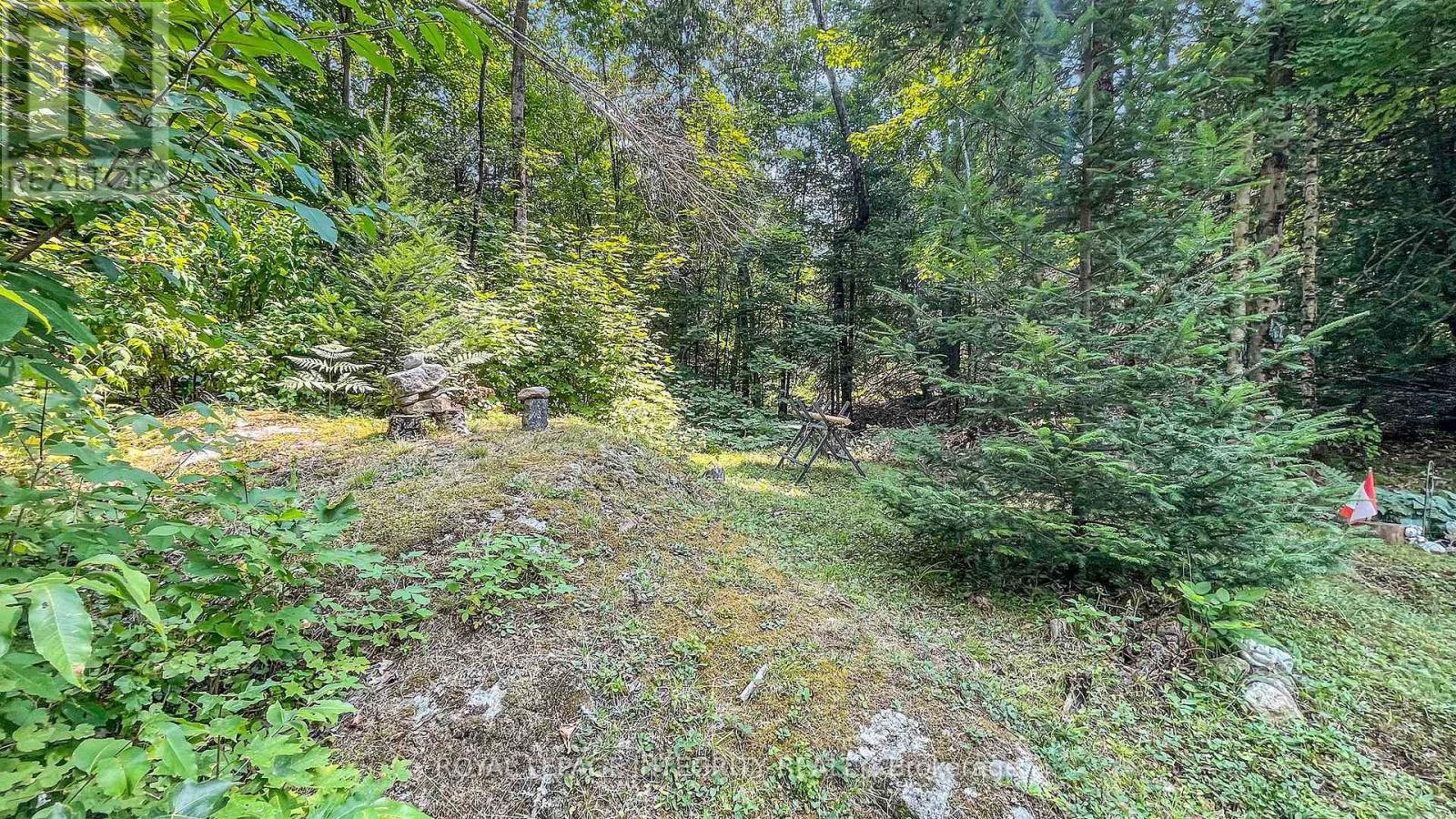 356 Bow Lake Lane, Lanark Highlands, Ontario  K0G 1K0 - Photo 15 - X12333386