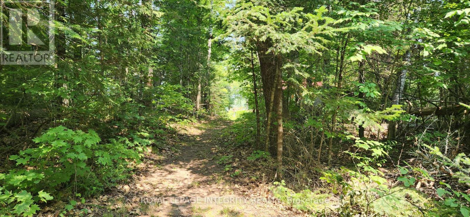 356 Bow Lake Lane, Lanark Highlands, Ontario  K0G 1K0 - Photo 17 - X12333386