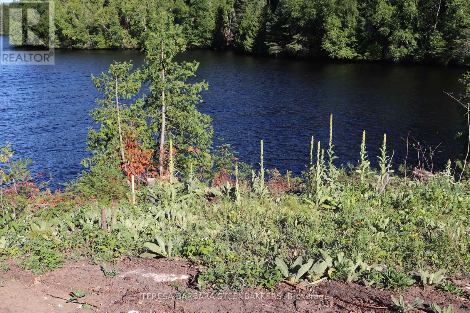 ### Sweets Lane, Greater Madawaska, Ontario  K0J 2R0 - Photo 9 - X12365521