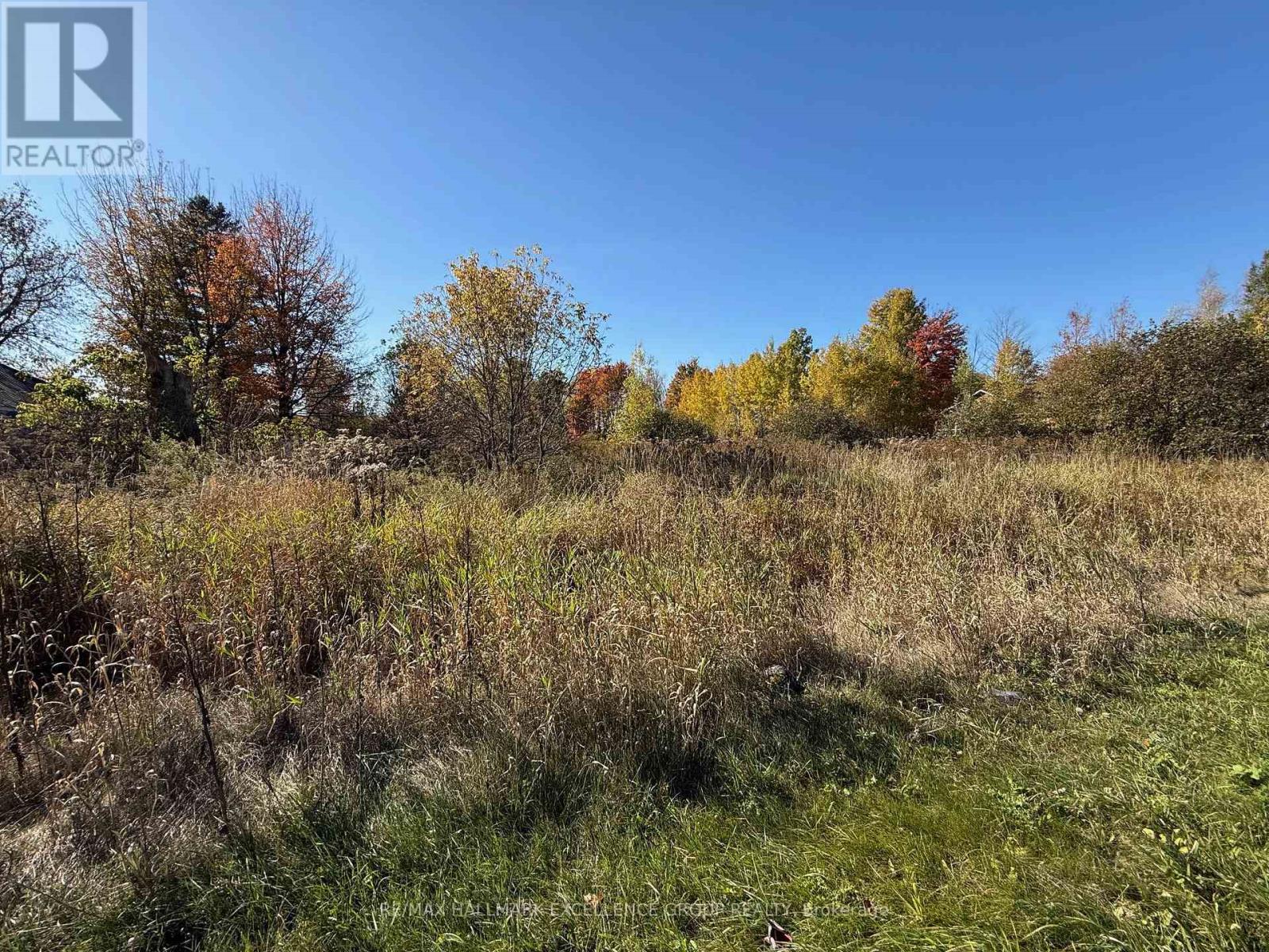00 Limoges Road, The Nation, Ontario  K0A 2M0 - Photo 4 - X12469777
