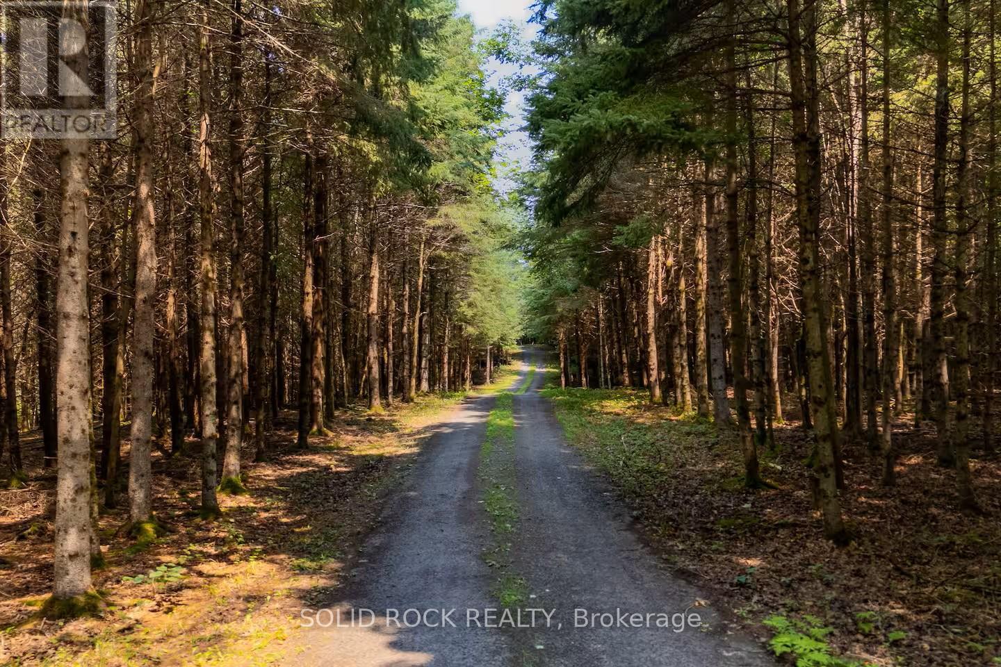 398 Coons Road, Rideau Lakes, Ontario  K0G 1E0 - Photo 9 - X12473644