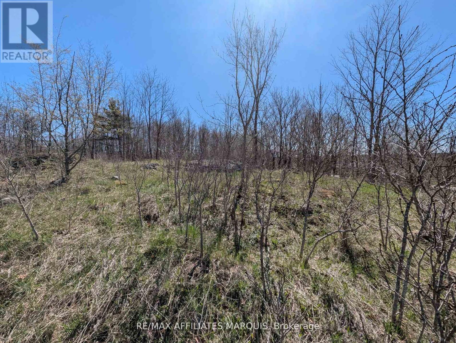0 Little Crosby Lake Road, Rideau Lakes, Ontario  K0G 1X0 - Photo 10 - X12544026