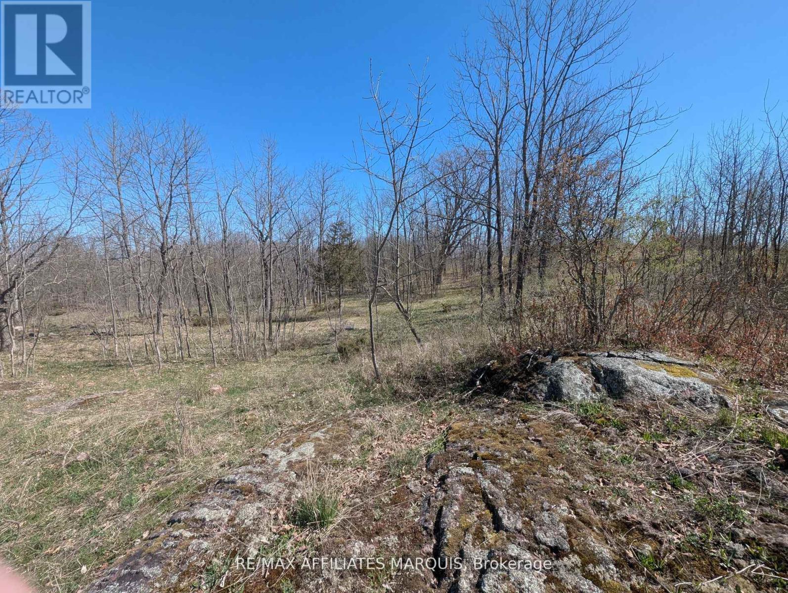 0 Little Crosby Lake Road, Rideau Lakes, Ontario  K0G 1X0 - Photo 11 - X12544026