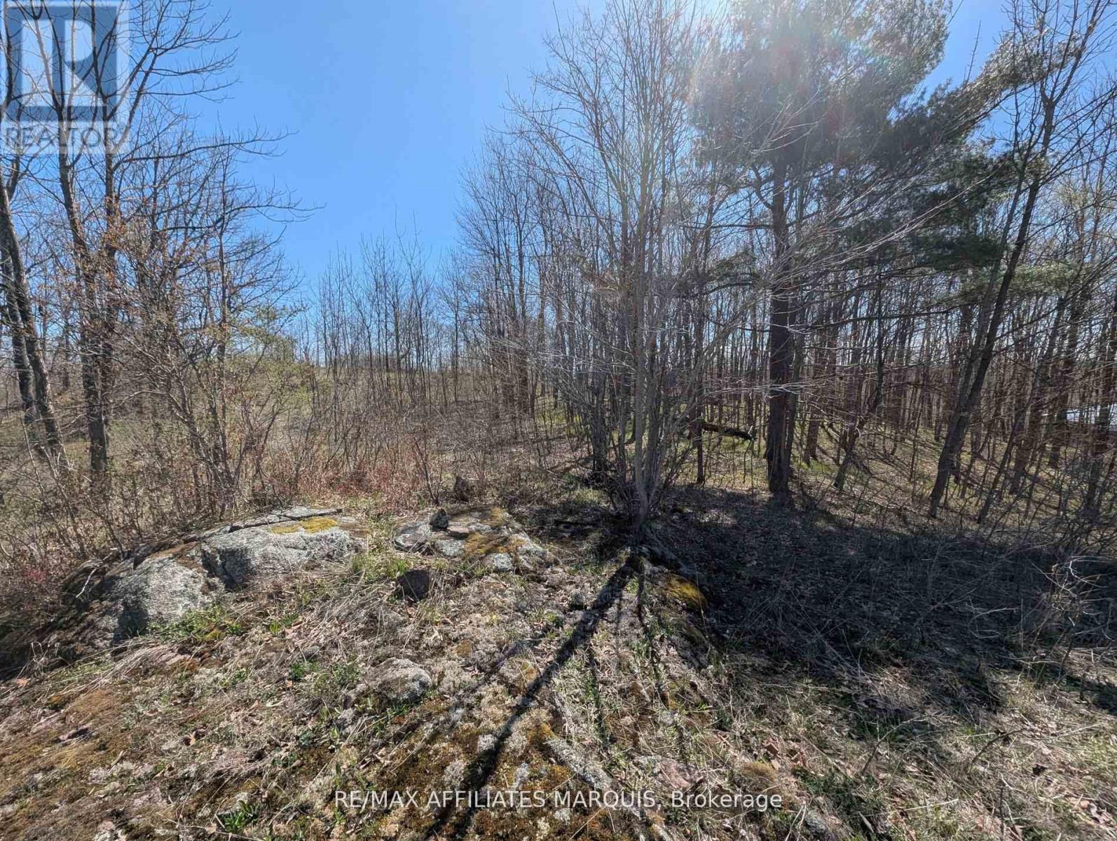 0 Little Crosby Lake Road, Rideau Lakes, Ontario  K0G 1X0 - Photo 12 - X12544026