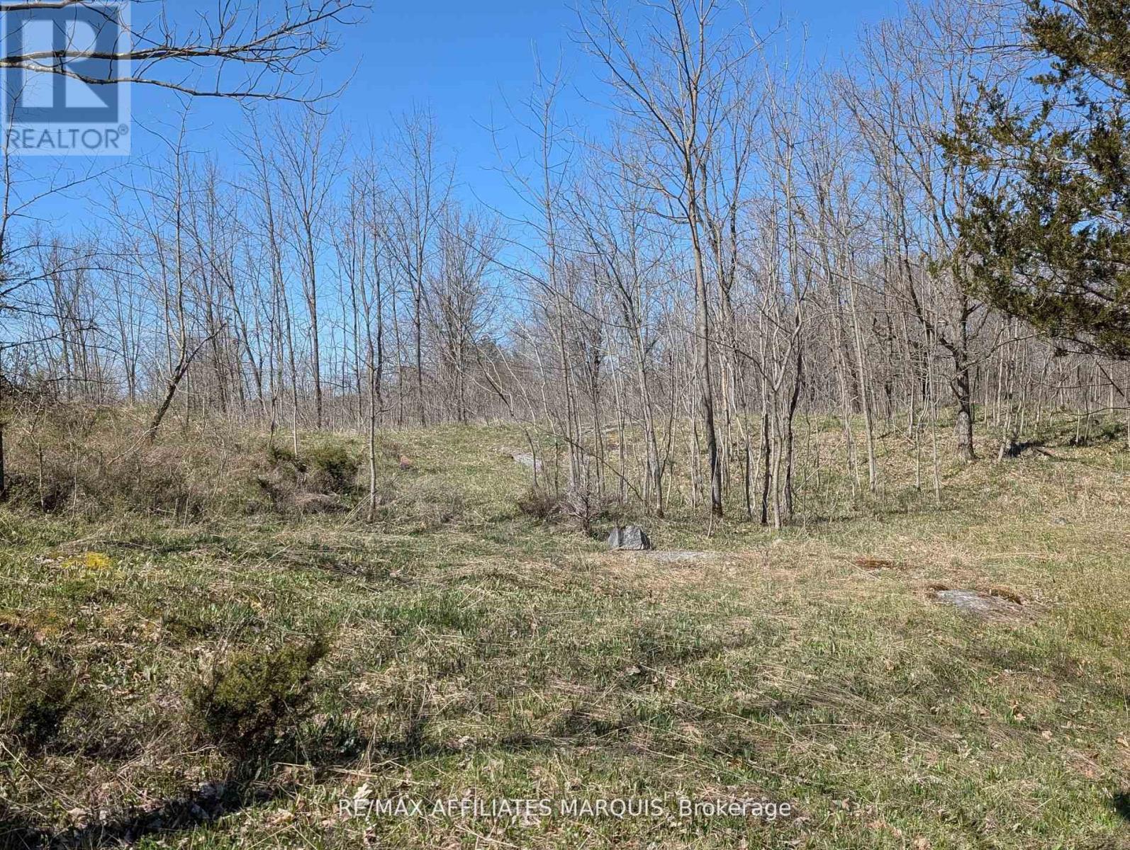 0 Little Crosby Lake Road, Rideau Lakes, Ontario  K0G 1X0 - Photo 14 - X12544026