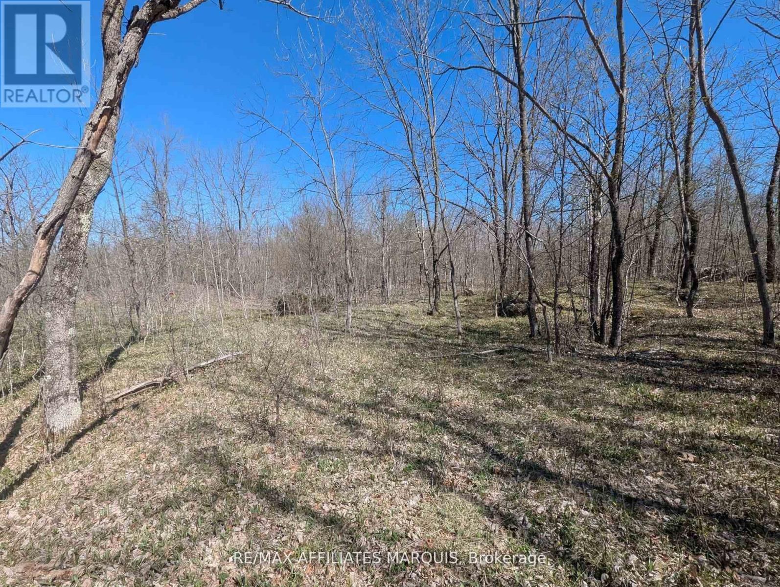 0 Little Crosby Lake Road, Rideau Lakes, Ontario  K0G 1X0 - Photo 16 - X12544026