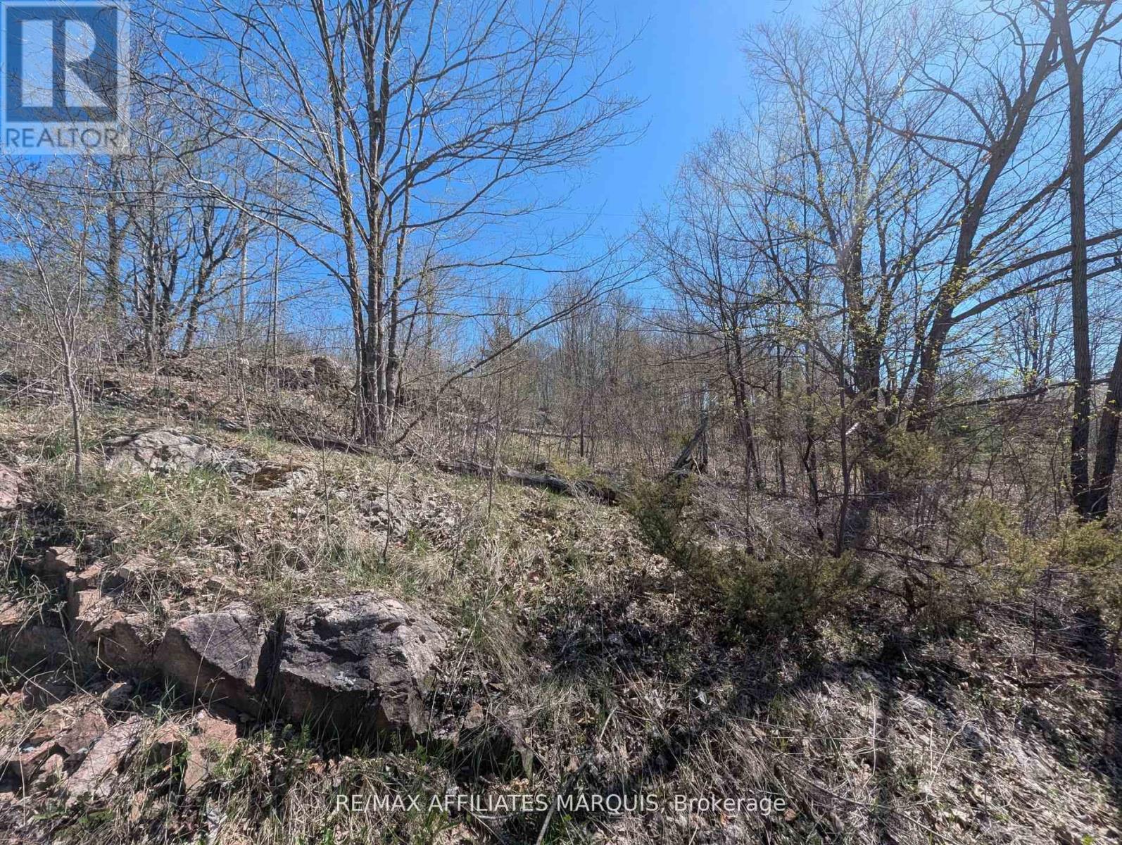 0 Little Crosby Lake Road, Rideau Lakes, Ontario  K0G 1X0 - Photo 6 - X12544026