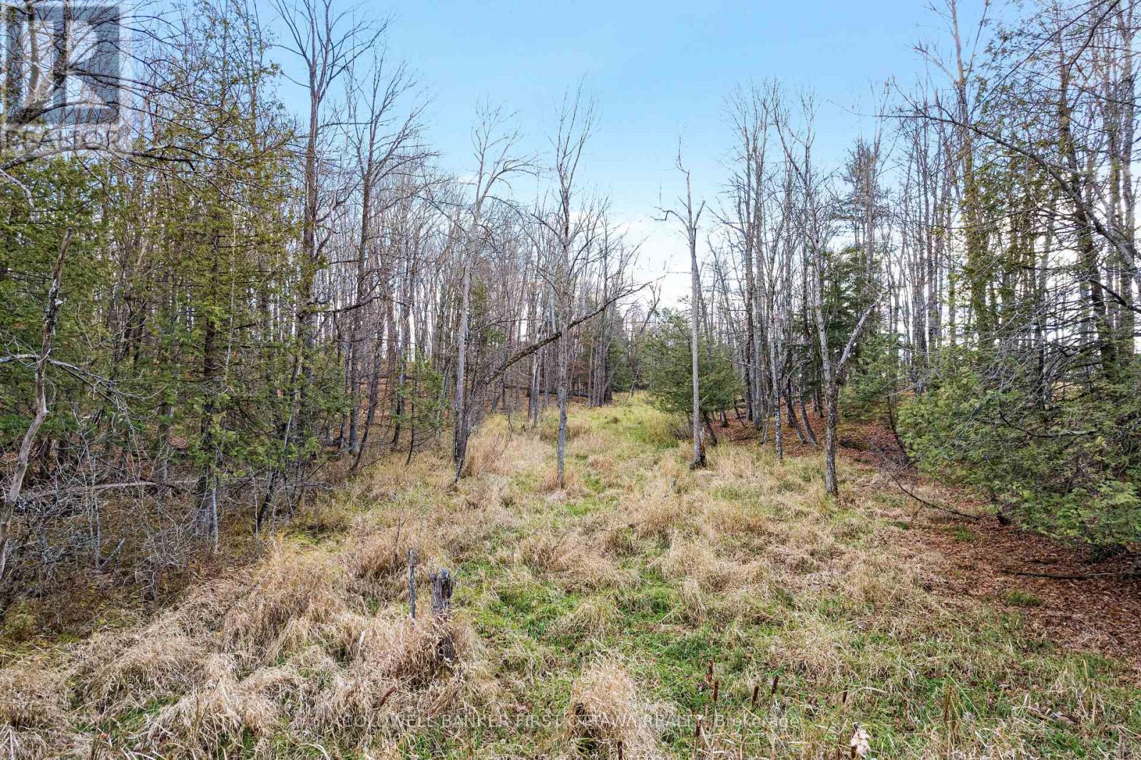 Pt 1-00 Herron Mills Road, Lanark Highlands, Ontario  K0G 1K0 - Photo 1 - X12589340