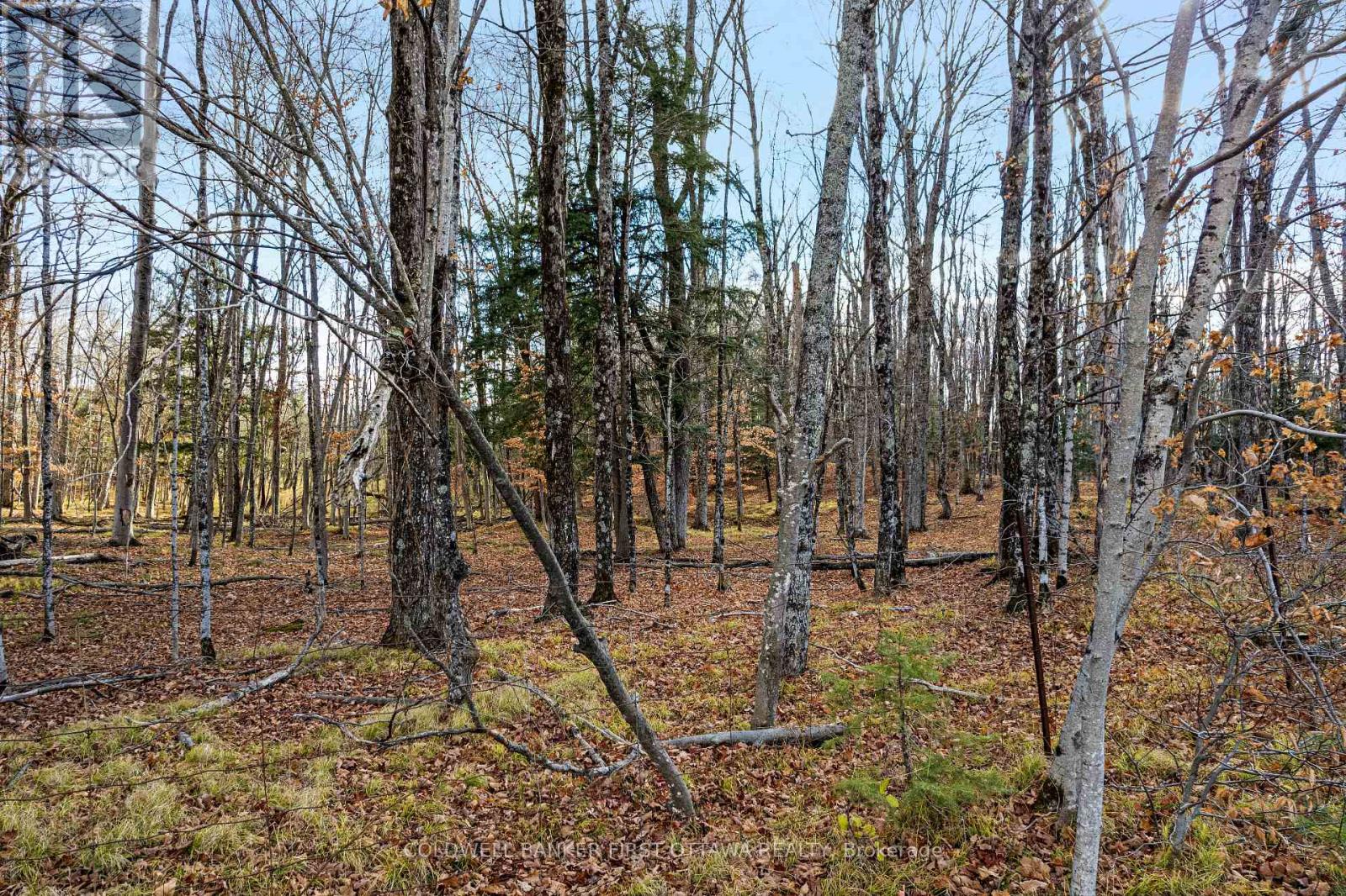 Pt 1-00 Herron Mills Road, Lanark Highlands, Ontario  K0G 1K0 - Photo 3 - X12589340