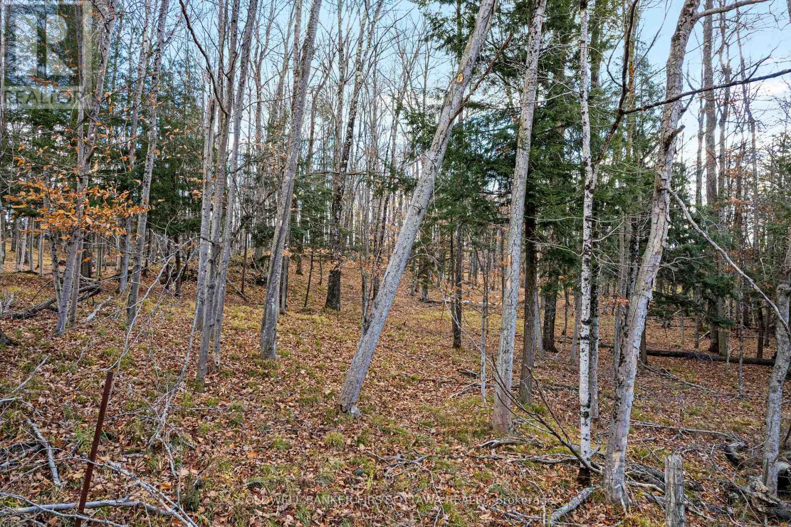 Pt 1-00 Herron Mills Road, Lanark Highlands, Ontario  K0G 1K0 - Photo 4 - X12589340