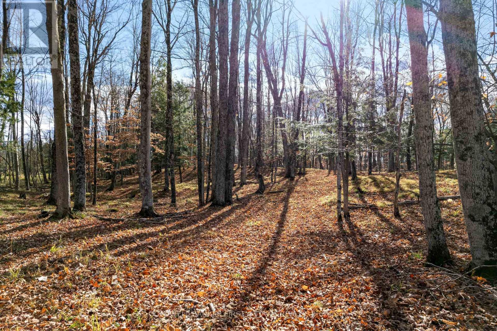 Pt 2-00 Herron Mills Road, Lanark Highlands, Ontario  K0G 1K0 - Photo 1 - X12589372