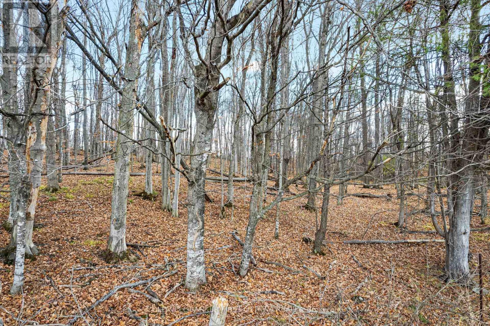 Pt 2-00 Herron Mills Road, Lanark Highlands, Ontario  K0G 1K0 - Photo 3 - X12589372
