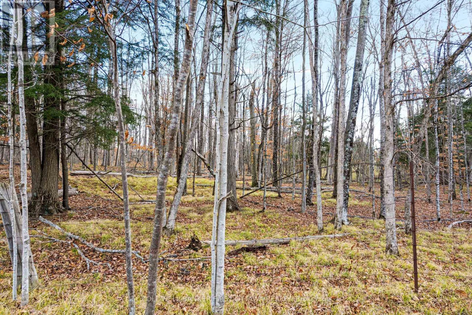 Pt 2-00 Herron Mills Road, Lanark Highlands, Ontario  K0G 1K0 - Photo 4 - X12589372