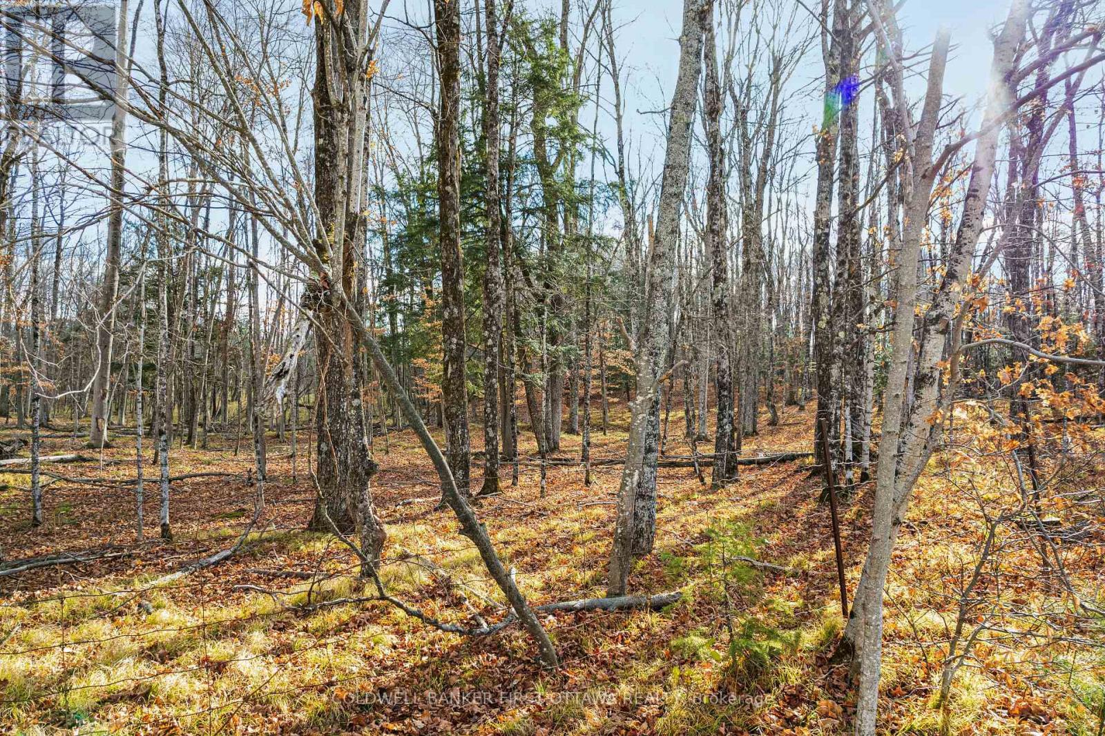 Pt 2-00 Herron Mills Road, Lanark Highlands, Ontario  K0G 1K0 - Photo 5 - X12589372