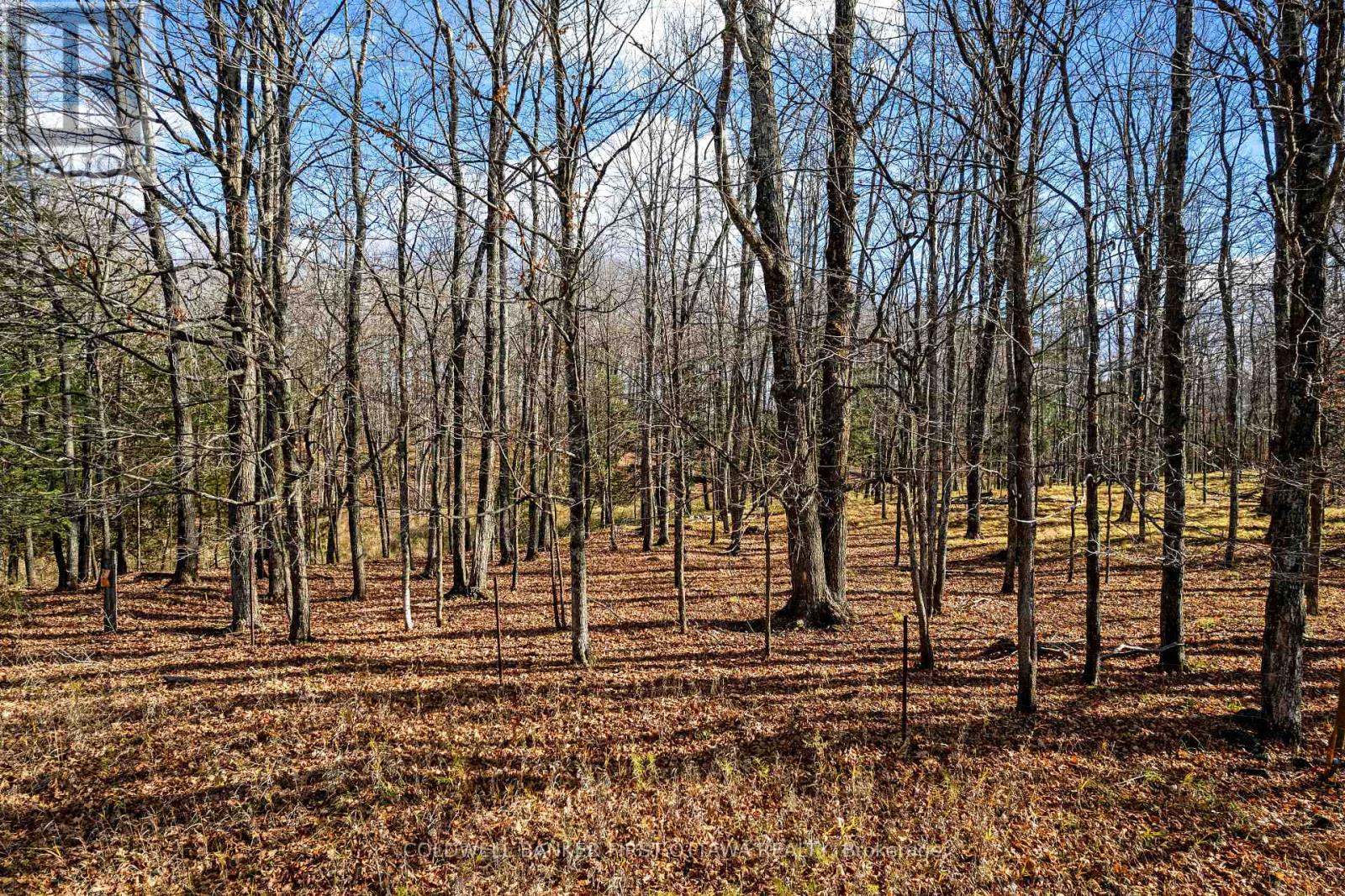 Pt 3-00 Herron Mills Road, Lanark Highlands, Ontario  K0G 1K0 - Photo 1 - X12589398
