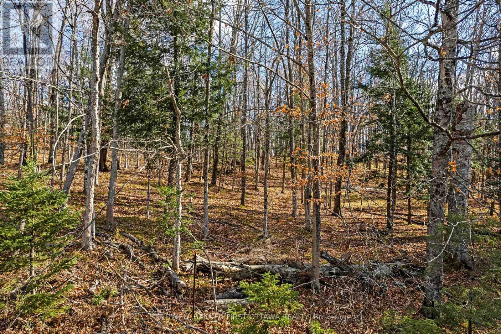 Pt 3-00 Herron Mills Road, Lanark Highlands, Ontario  K0G 1K0 - Photo 3 - X12589398