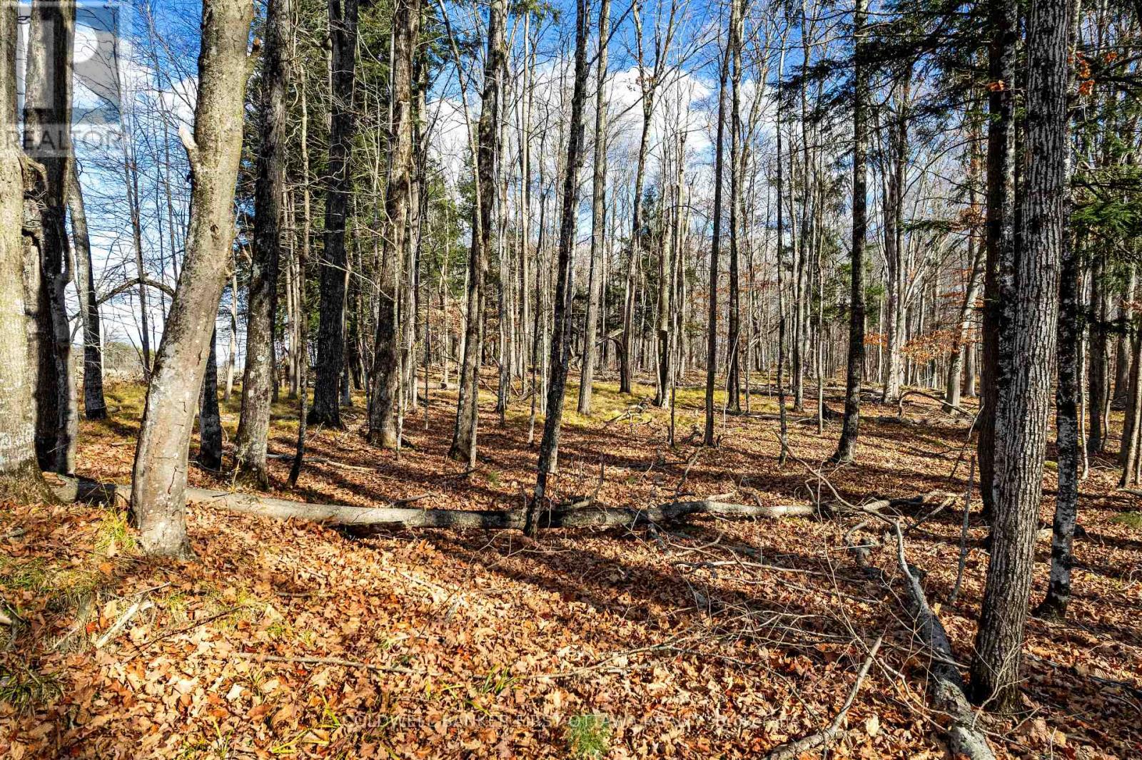 Pt 3-00 Herron Mills Road, Lanark Highlands, Ontario  K0G 1K0 - Photo 4 - X12589398