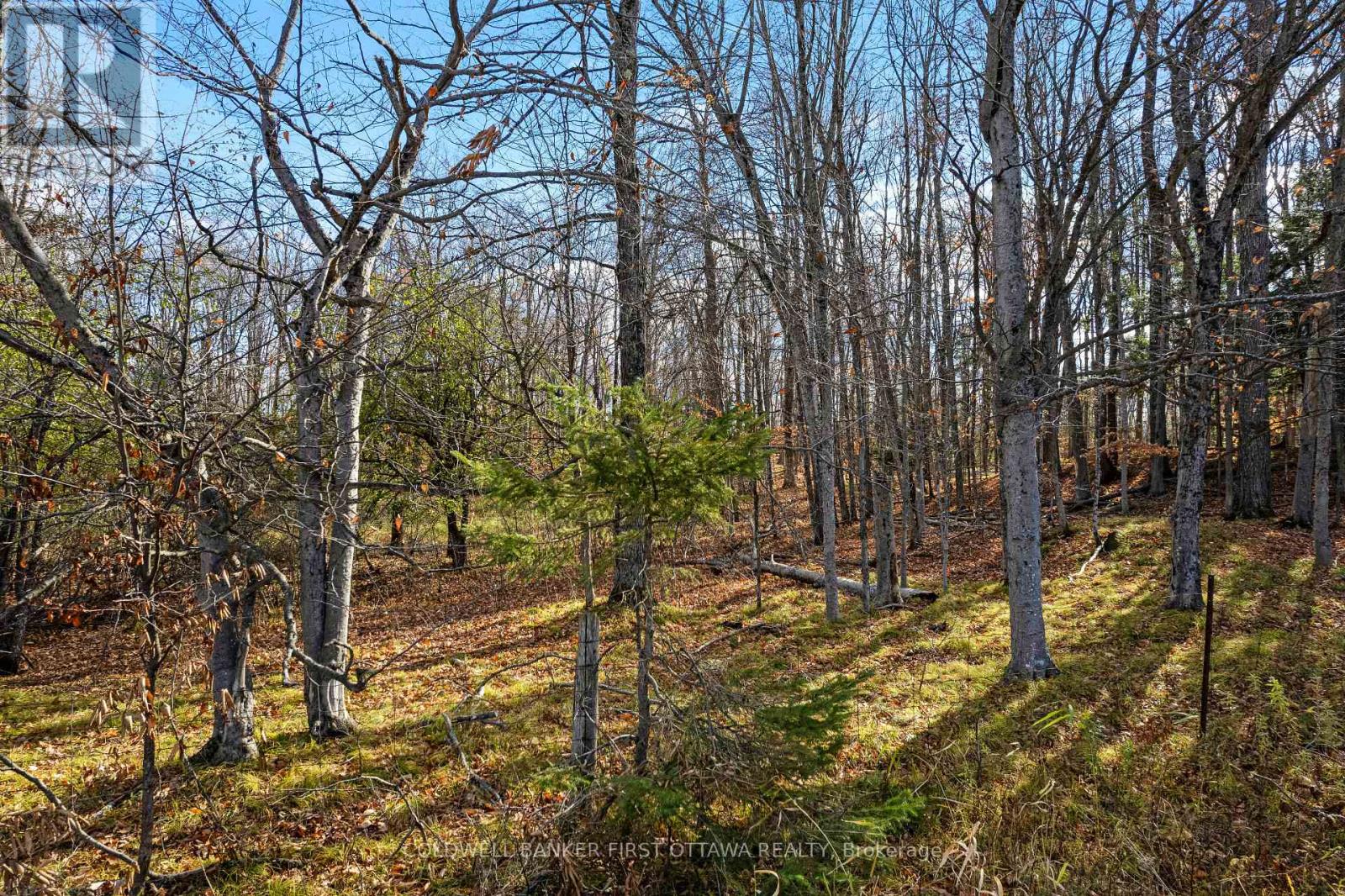 Pt 3-00 Herron Mills Road, Lanark Highlands, Ontario  K0G 1K0 - Photo 5 - X12589398
