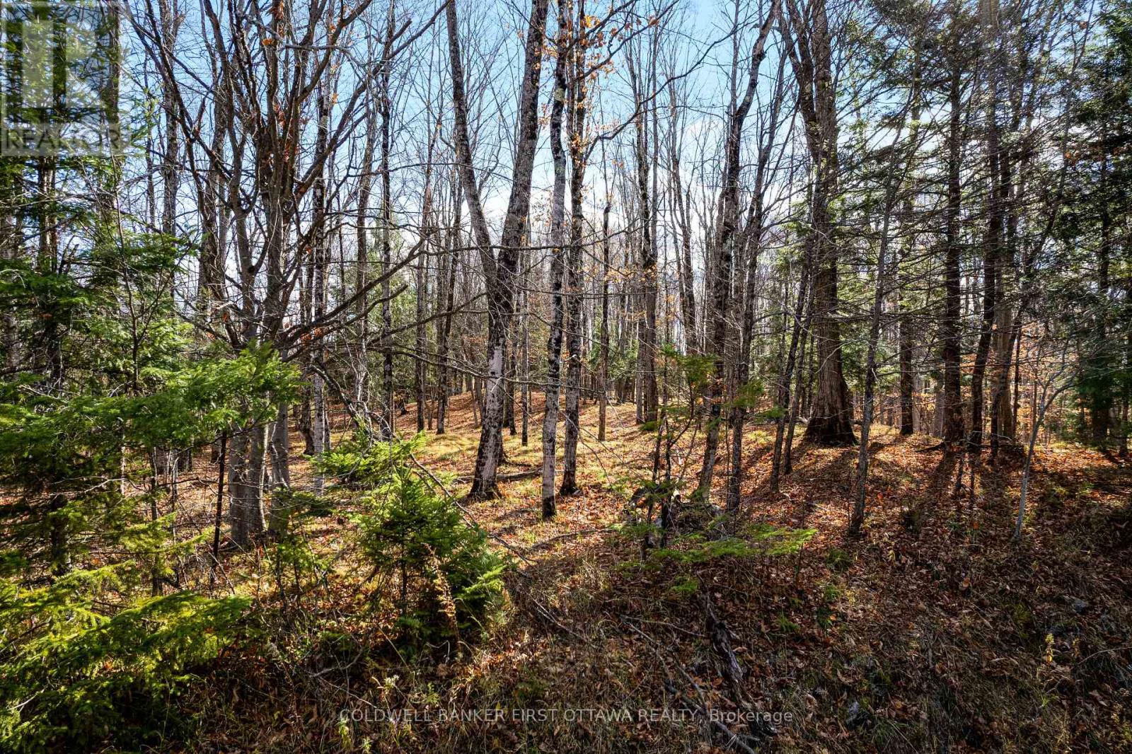 Pt 3-00 Herron Mills Road, Lanark Highlands, Ontario  K0G 1K0 - Photo 6 - X12589398
