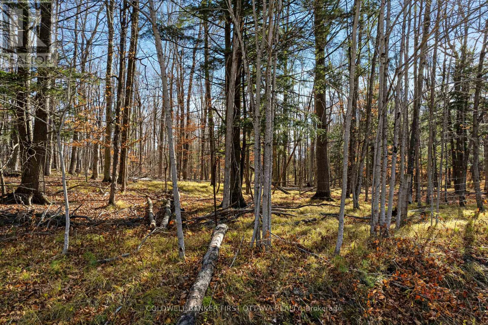 Pt 3-00 Herron Mills Road, Lanark Highlands, Ontario  K0G 1K0 - Photo 7 - X12589398