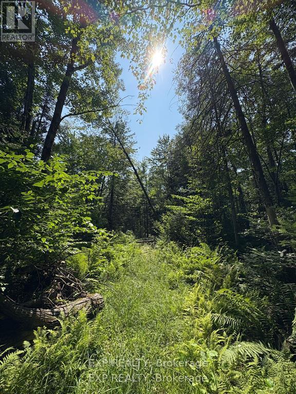 0 Lot 1 Conc. 2 Part 4 Boundary Road, Alfred And Plantagenet, Ontario  K0B 1L0 - Photo 10 - X12631016