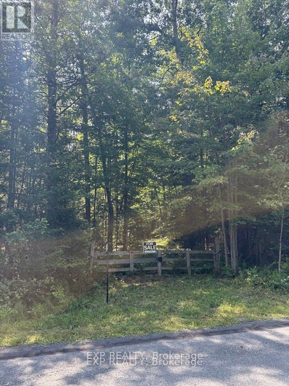 0 Lot 1 Conc. 2 Part 4 Boundary Road, Alfred And Plantagenet, Ontario  K0B 1L0 - Photo 2 - X12631016