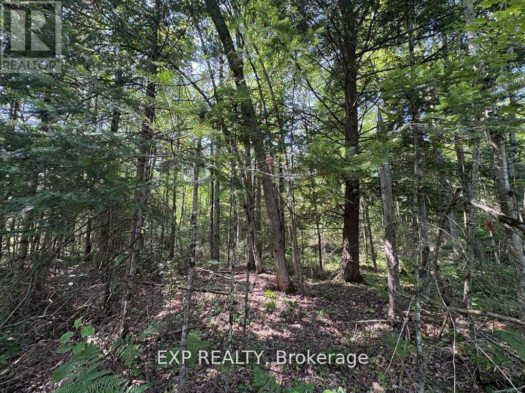 0 Lot 1 Conc. 2 Part 4 Boundary Road, Alfred And Plantagenet, Ontario  K0B 1L0 - Photo 3 - X12631016