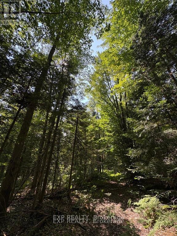 0 Lot 1 Conc. 2 Part 4 Boundary Road, Alfred And Plantagenet, Ontario  K0B 1L0 - Photo 4 - X12631016