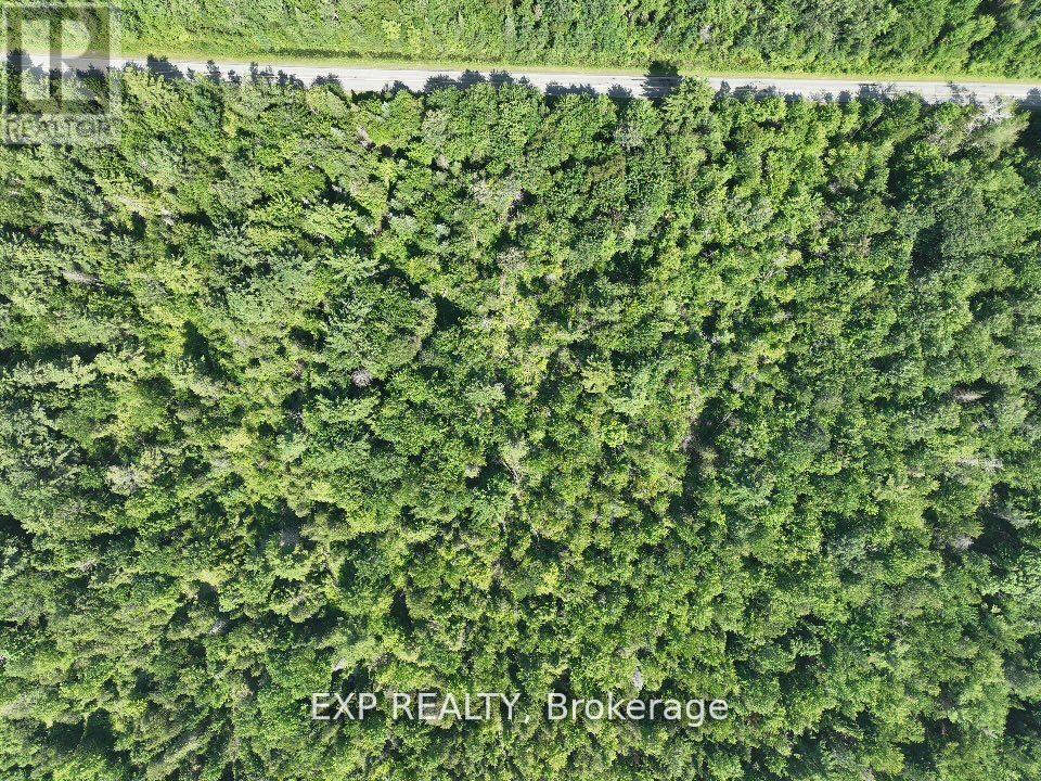 0 Lot 1 Conc. 2 Part 4 Boundary Road, Alfred And Plantagenet, Ontario  K0B 1L0 - Photo 9 - X12631016