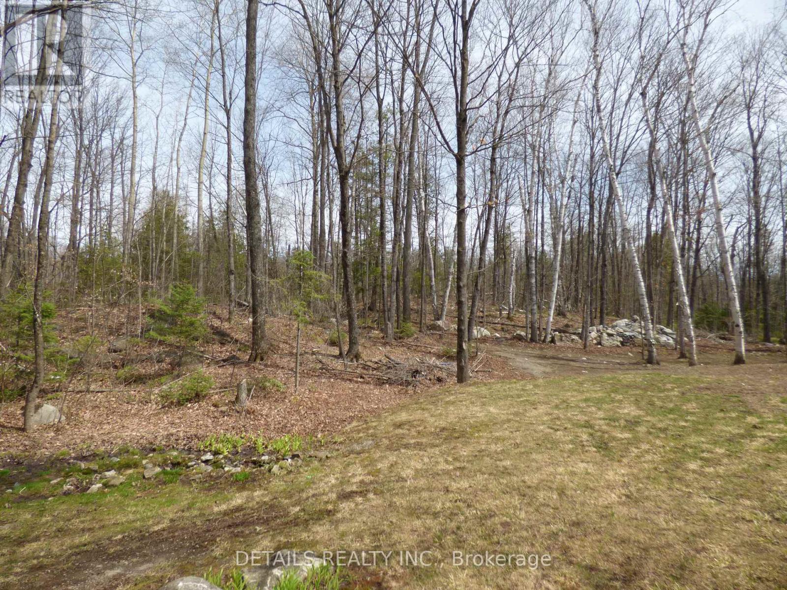 387 Campbell Side Road, Mississippi Mills, Ontario  K0A 3L0 - Photo 40 - X12694186