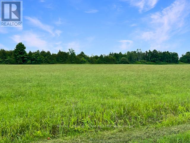 7205 Malakoff Road, Ottawa, Ontario  K0A 2T0 - Photo 4 - X12721362