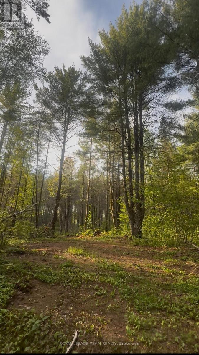 000 Doran Road, Petawawa, Ontario  K8H 2W8 - Photo 18 - X12722836
