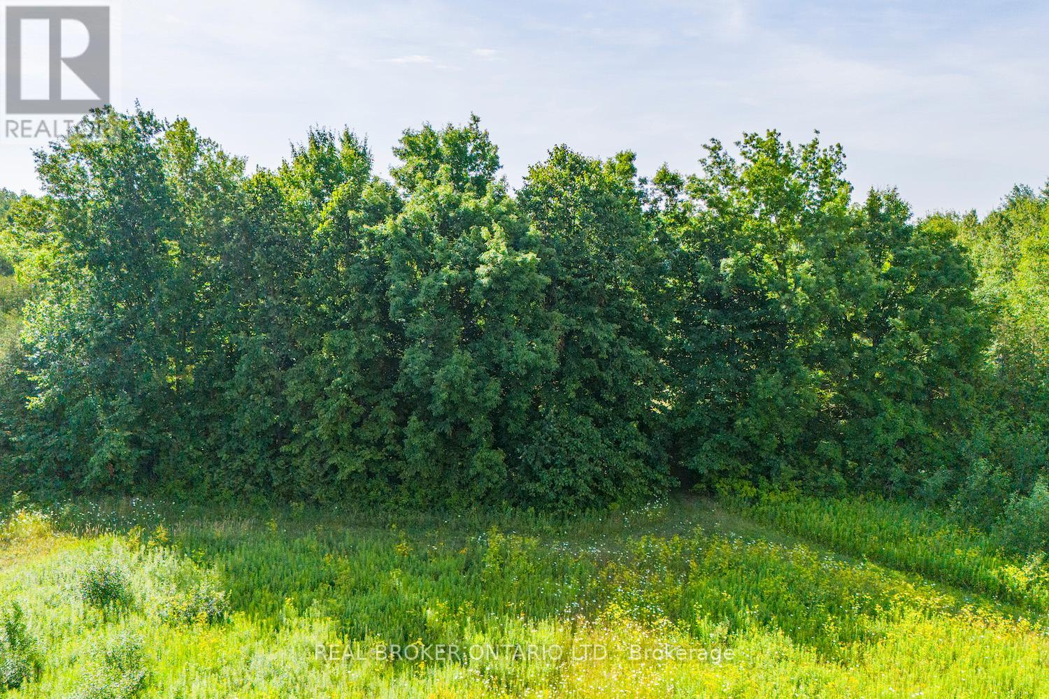 Lot 3 Kyle Road, Augusta, Ontario  K0G 1R0 - Photo 13 - X12737972