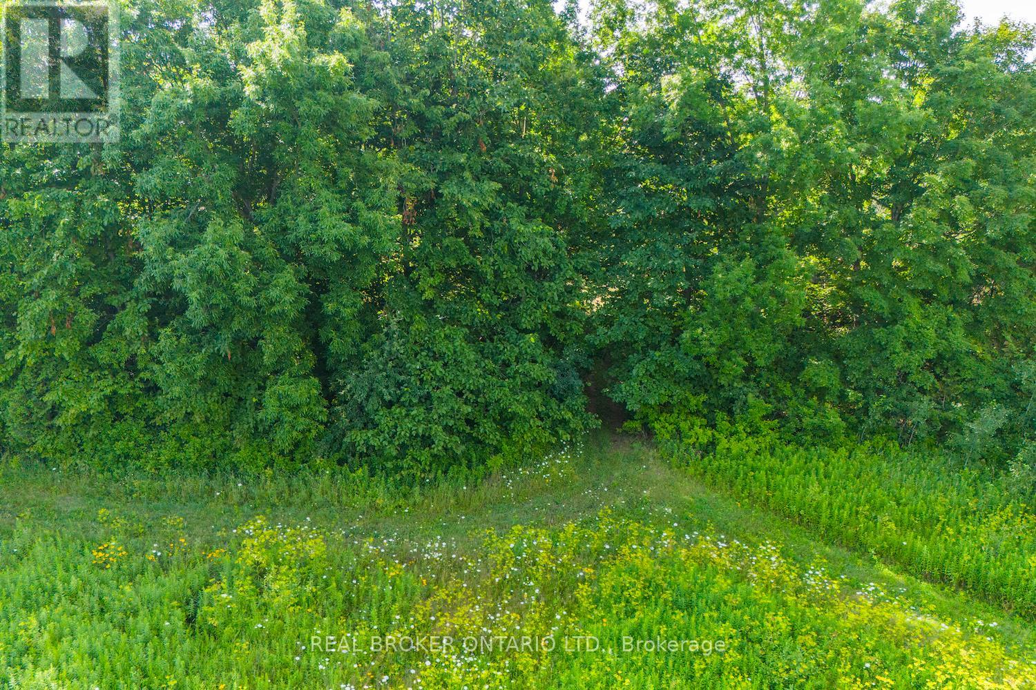 Lot 3 Kyle Road, Augusta, Ontario  K0G 1R0 - Photo 14 - X12737972