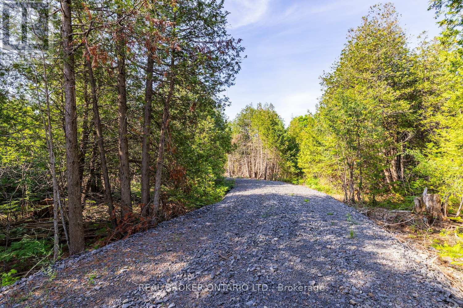 Lot 3 Kyle Road, Augusta, Ontario  K0G 1R0 - Photo 5 - X12737972