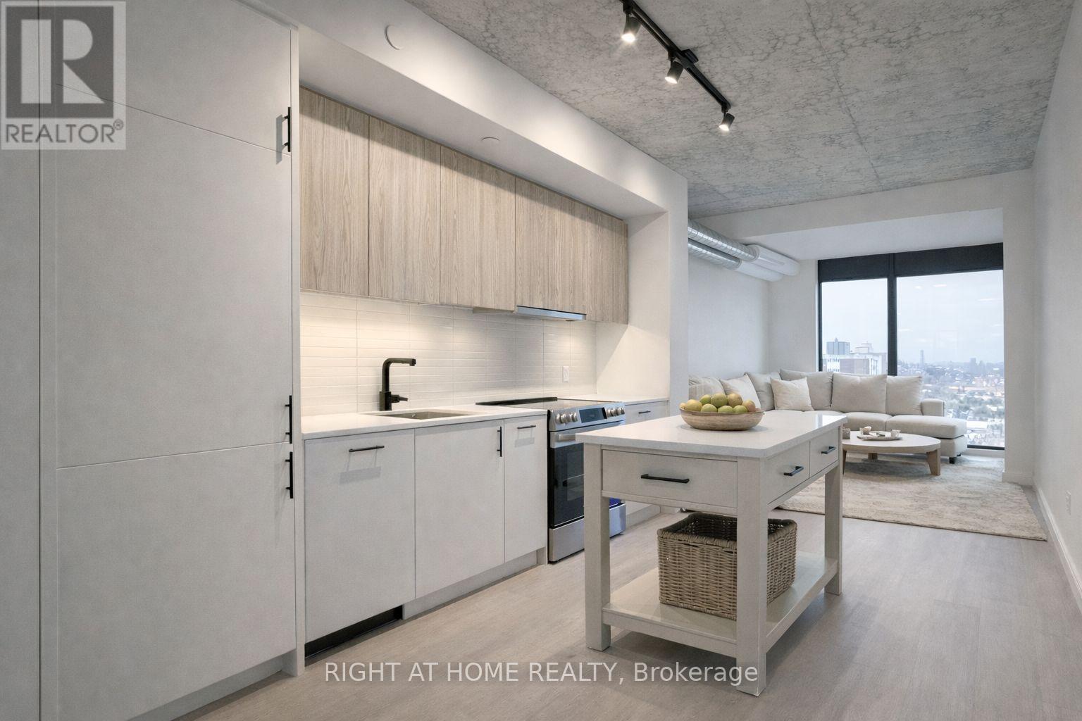 207 - 10 James Street, Ottawa, Ontario  K2P 1T2 - Photo 4 - X12745390