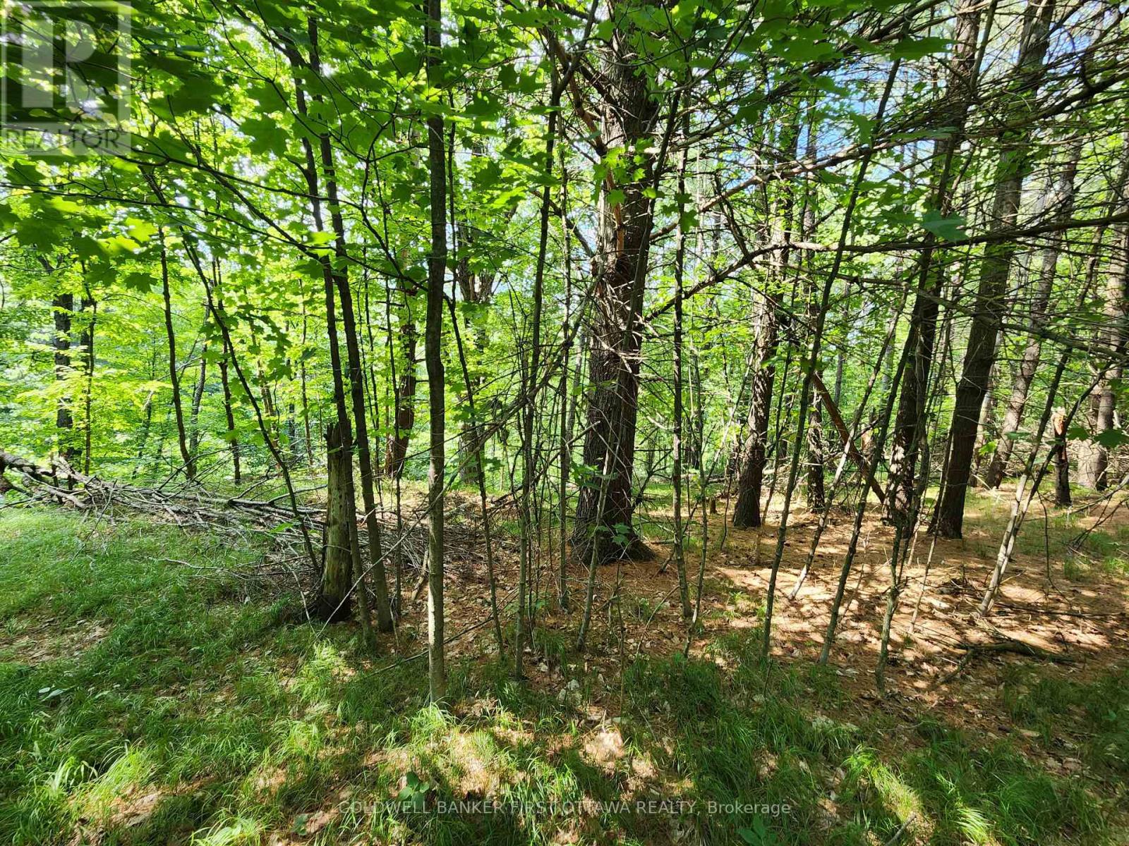 115 Doran Road, Tay Valley, Ontario  K7H 3C7 - Photo 11 - X12761716