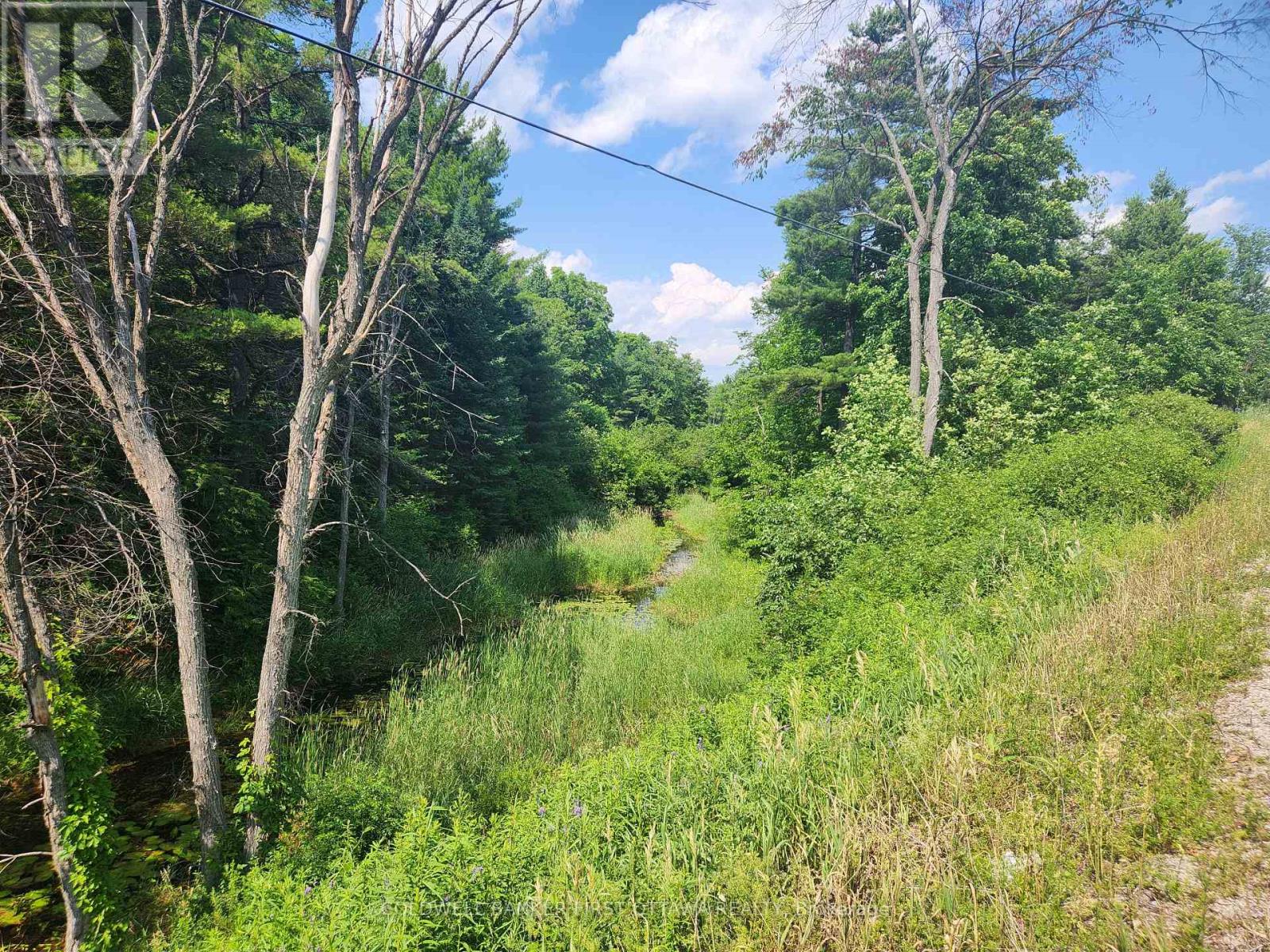 115 Doran Road, Tay Valley, Ontario  K7H 3C7 - Photo 13 - X12761716