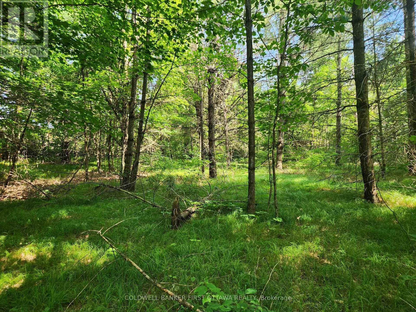 115 Doran Road, Tay Valley, Ontario  K7H 3C7 - Photo 15 - X12761716