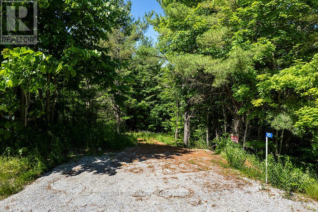 115 Doran Road, Tay Valley, Ontario  K7H 3C7 - Photo 4 - X12761716