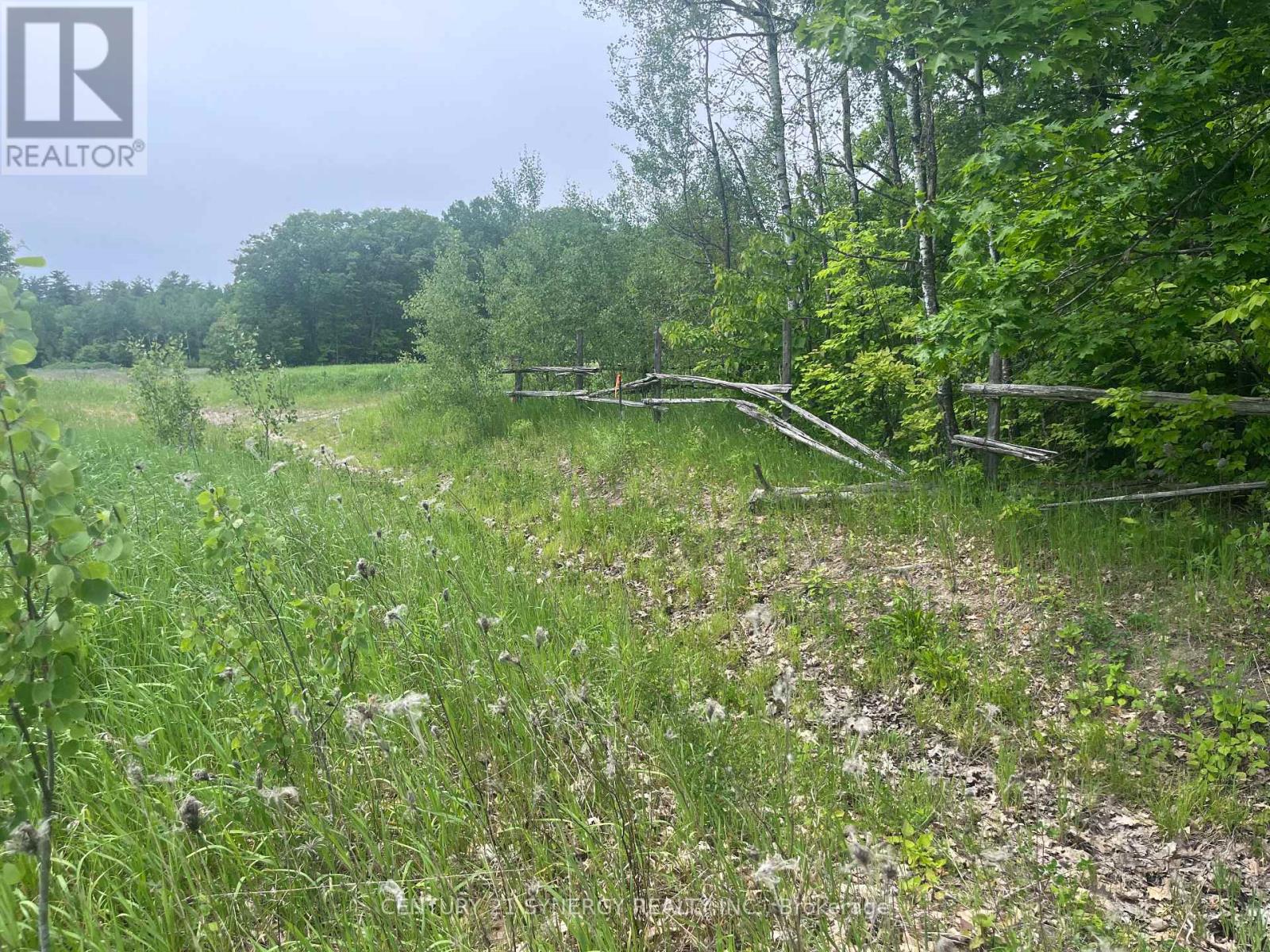 36 Paul A Bertrand Drive, Mcnab/braeside, Ontario  K7S 3G8 - Photo 10 - X12764896