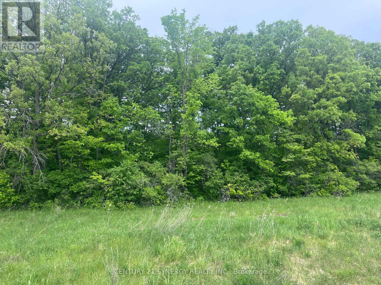 36 Paul A Bertrand Drive, Mcnab/braeside, Ontario  K7S 3G8 - Photo 11 - X12764896