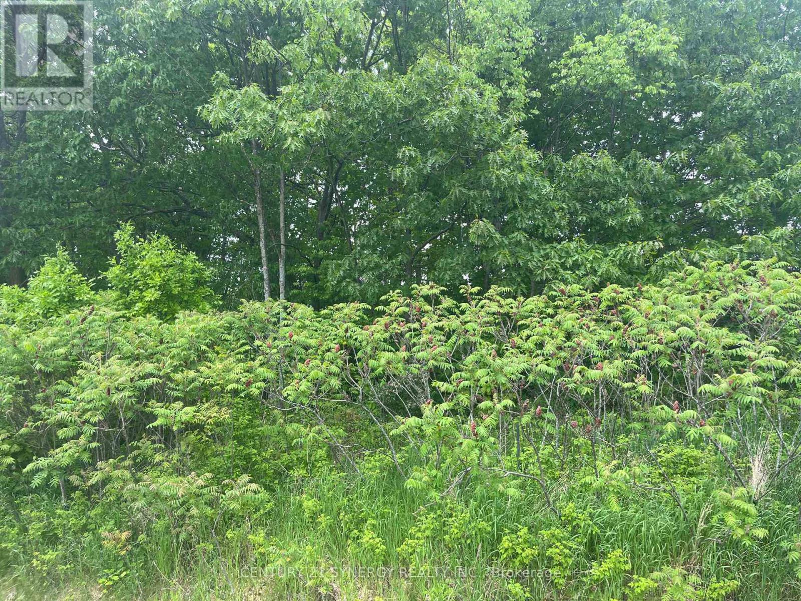 36 Paul A Bertrand Drive, Mcnab/braeside, Ontario  K7S 3G8 - Photo 13 - X12764896