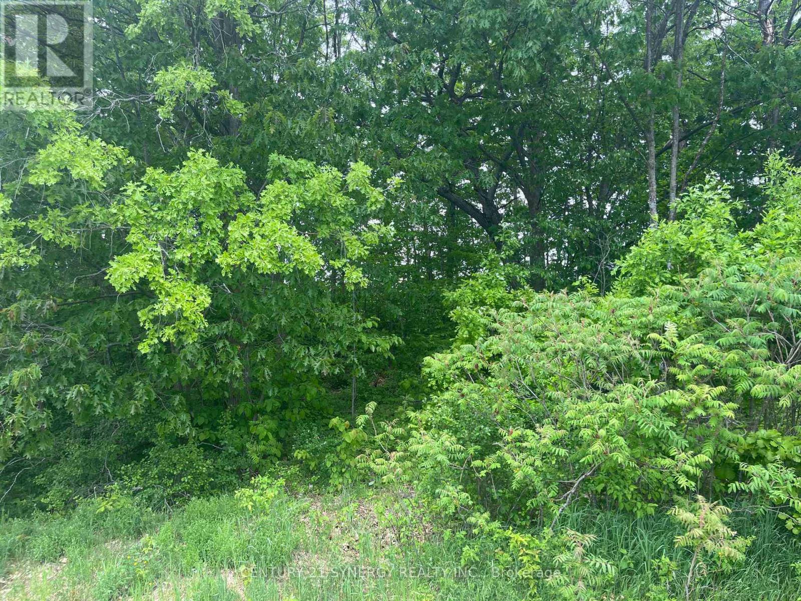 36 Paul A Bertrand Drive, Mcnab/braeside, Ontario  K7S 3G8 - Photo 14 - X12764896